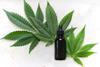 cannabis CBD - UNsplash