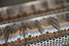 tobacco cigarettes websize