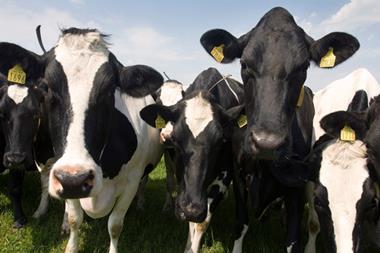 Arla cows