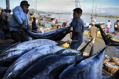tuna fishing
