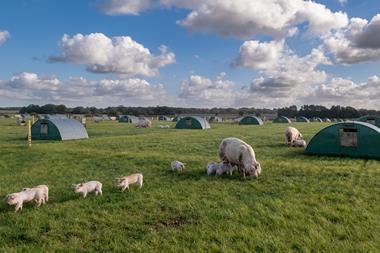 Pig huts - aerial