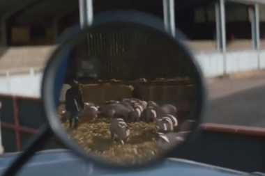 co-op sourcing ad