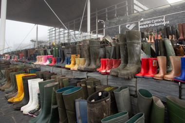 Senedd Wellies