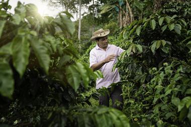 Colombia_Coffee_MAIN IMAGE
