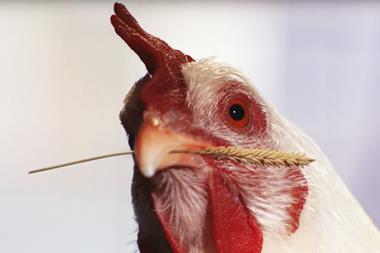KFC Whole Chicken ad_screenshot