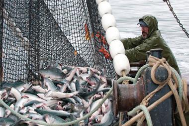Fishermen fishing for fish