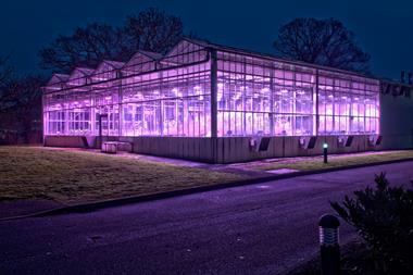 Speed Breeding scaled up in glasshouse_ Andrew Davis.tif