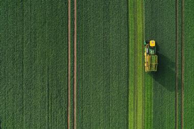 spinach harvest_Nomad Foods