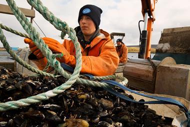 MSC Mussels fishing