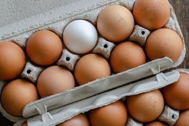 Eggs (2)