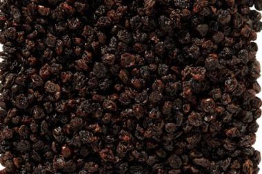 raisins web