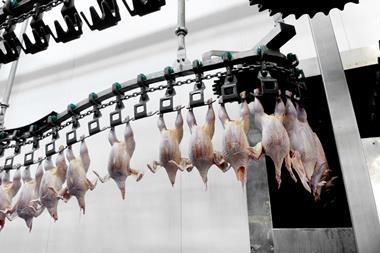 chicken production (2)