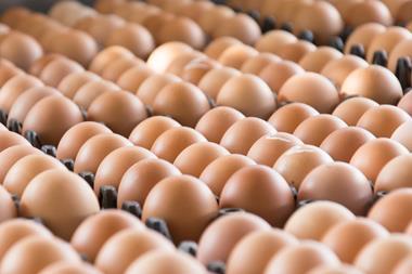 Eggs in crates