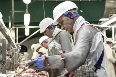 Tulip - production line_0001