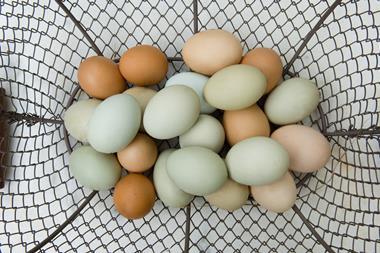 eggs