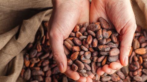 Cocoa4