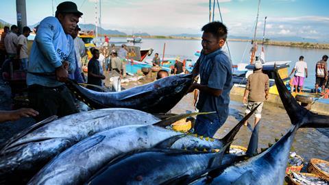 tuna fishing