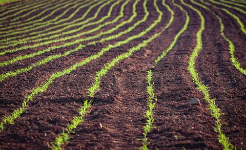 soil crops field