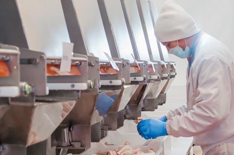 Meat chicken poultry production factory worker